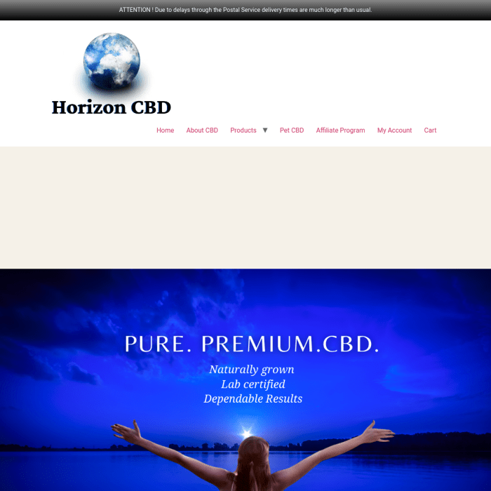 Horizoncbd.com